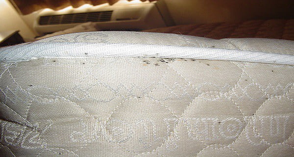Kicsi parazita, amely néha az ágyban él - Bélféreg - Így szabaduljunk tőle! | BENU Gyógyszertárak